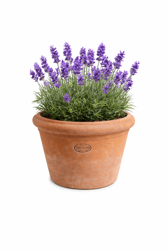 Mini Vaso Liscio – pot en terre cuite d’Impruneta fait main pour herbes et petites plantes